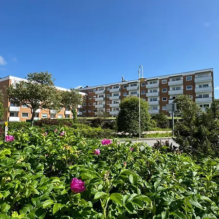 Im Haus Nordland Nordland, App 34 Hund Schrankbett *